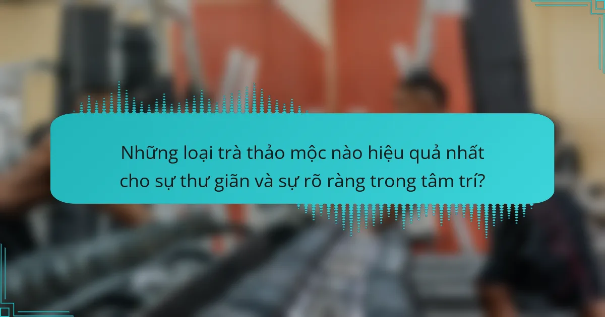 Những loại trà thảo mộc nào hiệu quả nhất cho sự thư giãn và sự rõ ràng trong tâm trí?